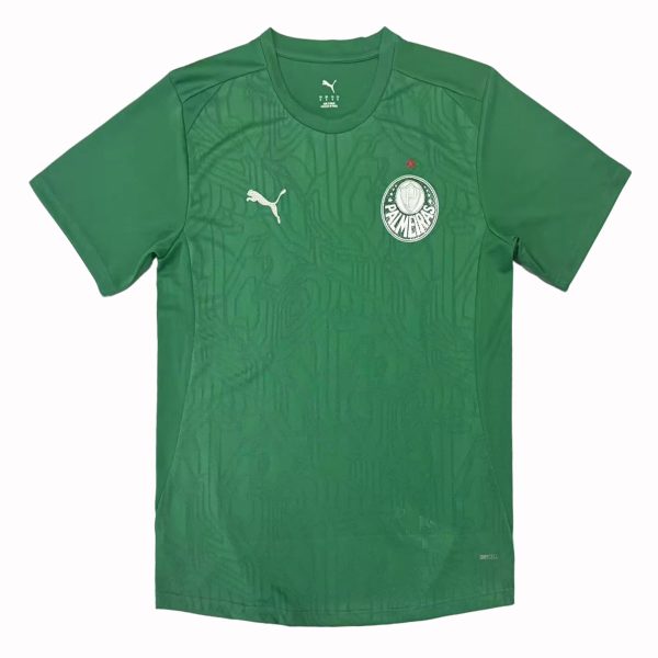 Palmeiras 2025-26 Training Shirt